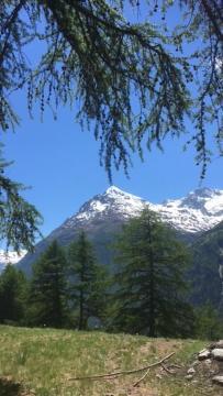 Ferienwohnung Haus Valaisia - Randa Bei Zermatt Exterior foto